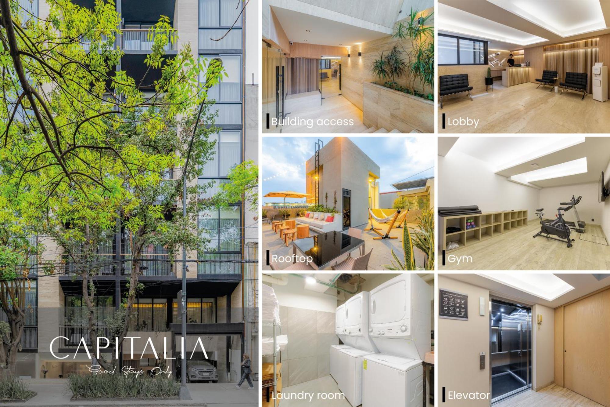 Capitalia - Luxury Apartments - Homero Meksika Dış mekan fotoğraf